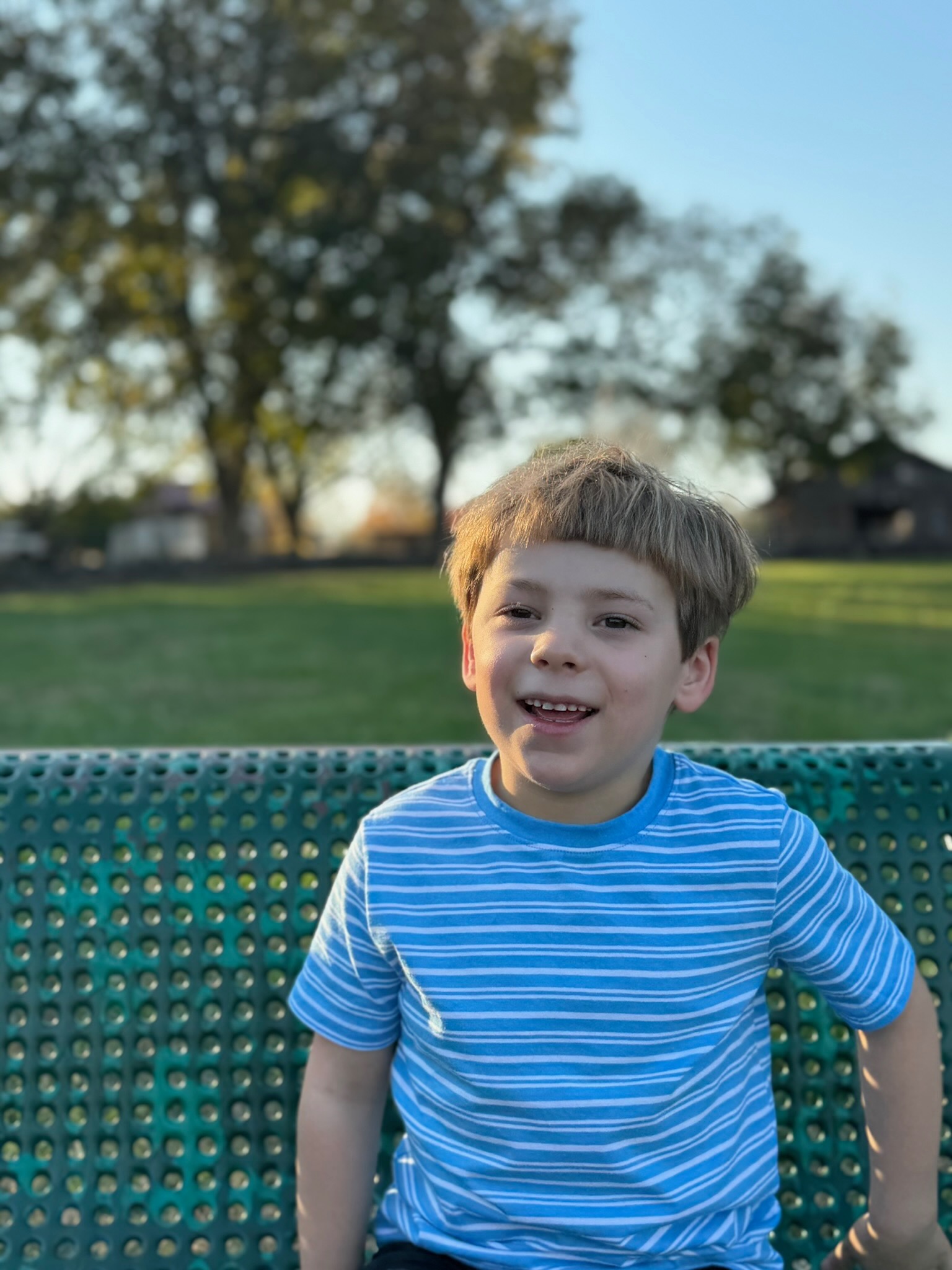 Noah's joy